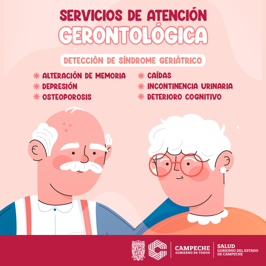 Imagen1