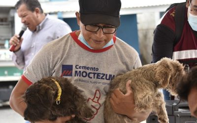 MANTIENE SECRETARÍA DE SALUD ACCIONES PERMANENTES CONTRA LA RABIA