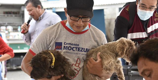 MANTIENE SECRETARÍA DE SALUD ACCIONES PERMANENTES CONTRA LA RABIA