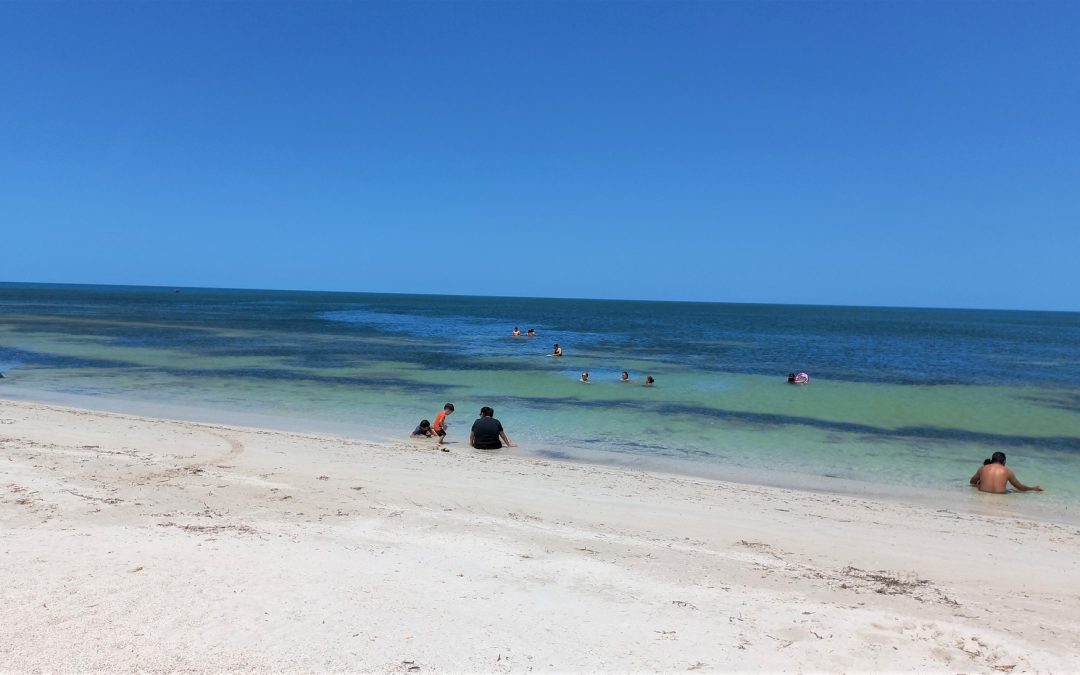 APTAS PARA BAÑISTAS 17 PLAYAS CAMPECHANAS