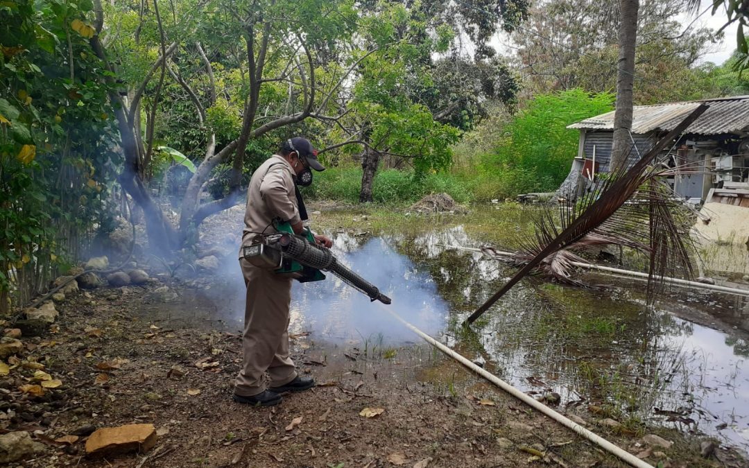 SE ACTIVA PLAN INTENSIVO PARA LA PREVENCIÓN DEL DENGUE