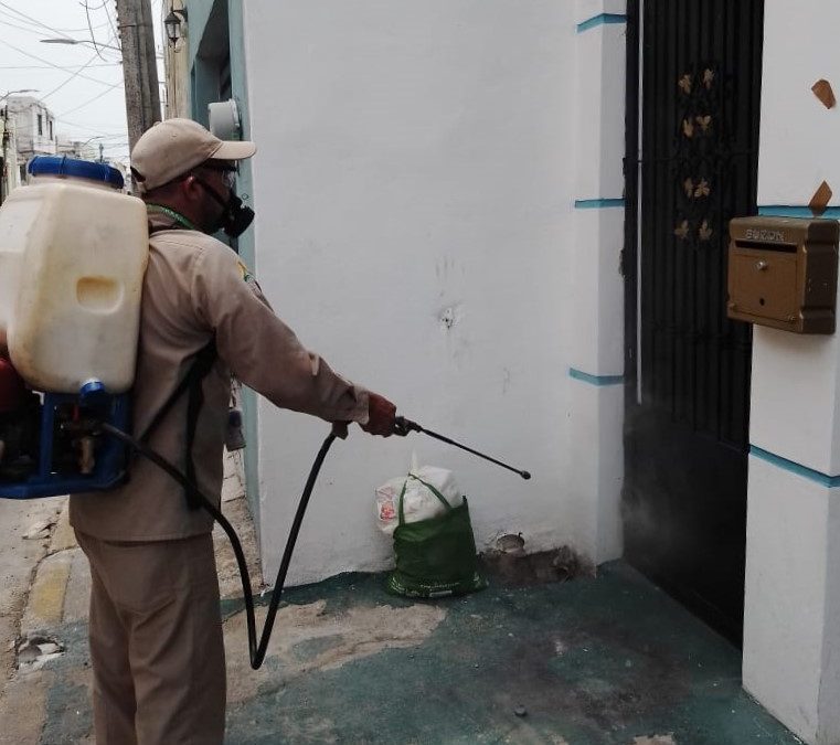 REFUERZAN COMBATE AL DENGUE EN OCHO MUNICIPIOS