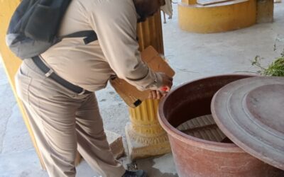 REFUERZAN CONTROL LARVARIO EN CINCO MUNICIPIOS PARA EVITAR LA PROLIFERACIÓN DE MOSCOS