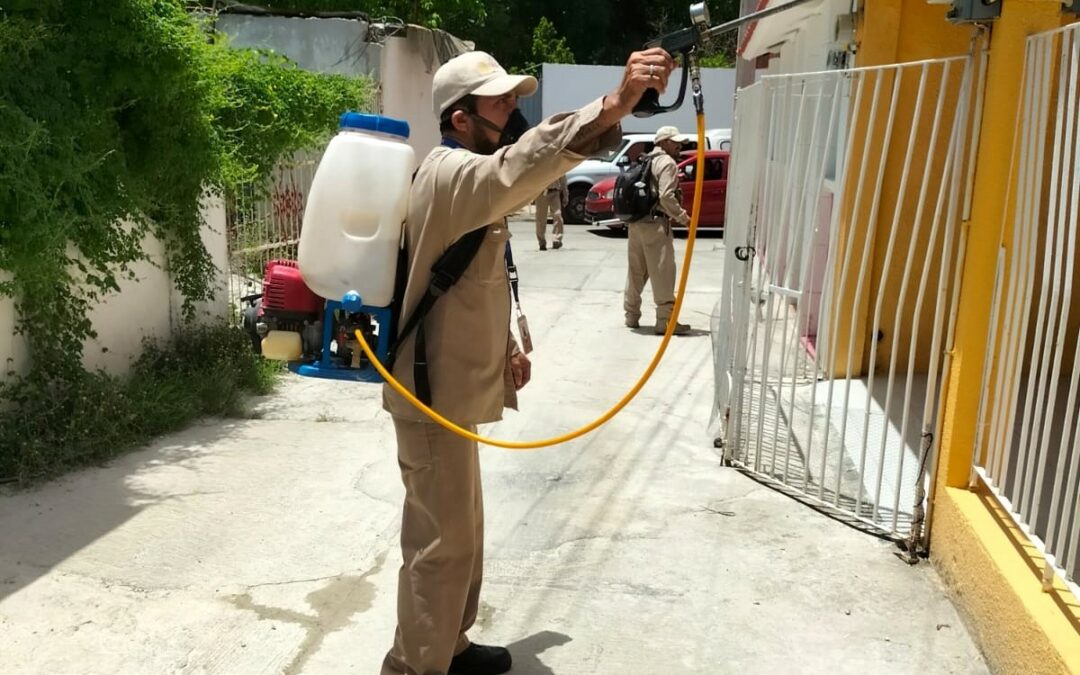 CAMPECHE SE MANTIENE SIN CASOS DE RICKETTSIOSIS, ENFERMEDAD  TRANSMITIDA POR PICADURA DE GARRAPATAS Y PULGAS