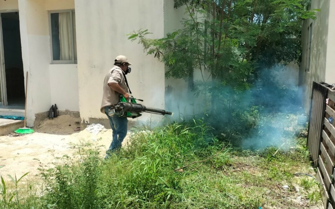 TODOS CONTRA EL DENGUE. HACE UN LLAMADO SALUD A LA PARTICIPACIÓN  COMUNITARIA PARA MANTENER PATIO LIMPIO