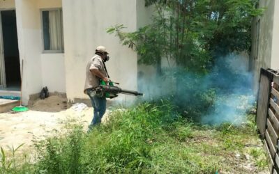 TODOS CONTRA EL DENGUE. HACE UN LLAMADO SALUD A LA PARTICIPACIÓN  COMUNITARIA PARA MANTENER PATIO LIMPIO