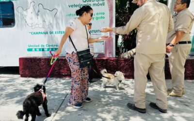 MÁS DE OCHO MIL DOSIS DE VACUNA ANTIRRÁBICA APLICADAS EN CARMEN