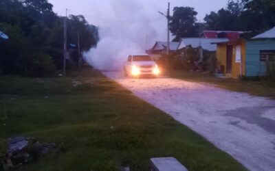 ELIMINAN CRIADEROS DE MOSQUITOS CON DESCACHARRIZACIÓN Y NEBULIZACIÓN EN CALAKMUL