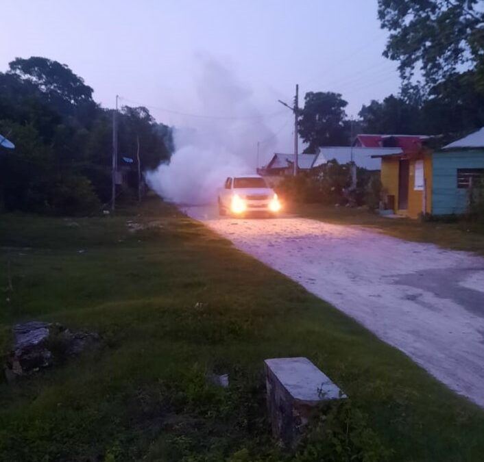 ELIMINAN CRIADEROS DE MOSQUITOS CON DESCACHARRIZACIÓN Y NEBULIZACIÓN EN CALAKMUL