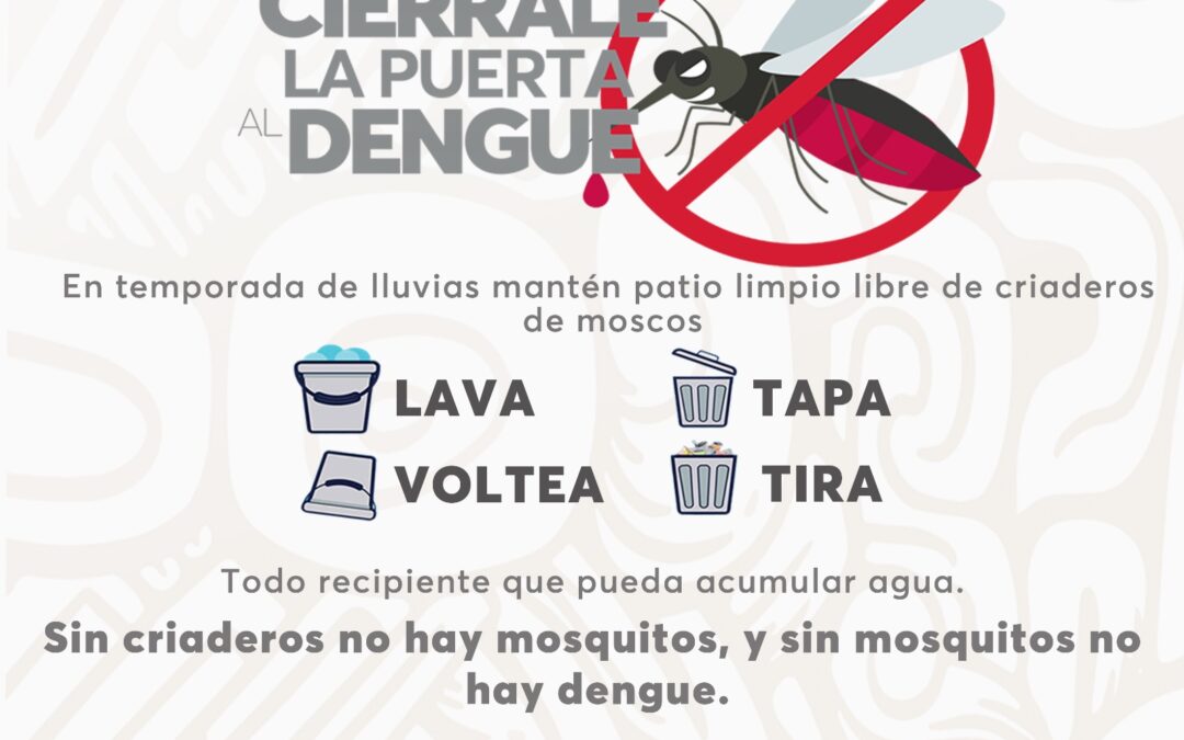 EXHORTA LA SECRETARÍA DE SALUD A CERRARLE LA PUERTA AL DENGUE