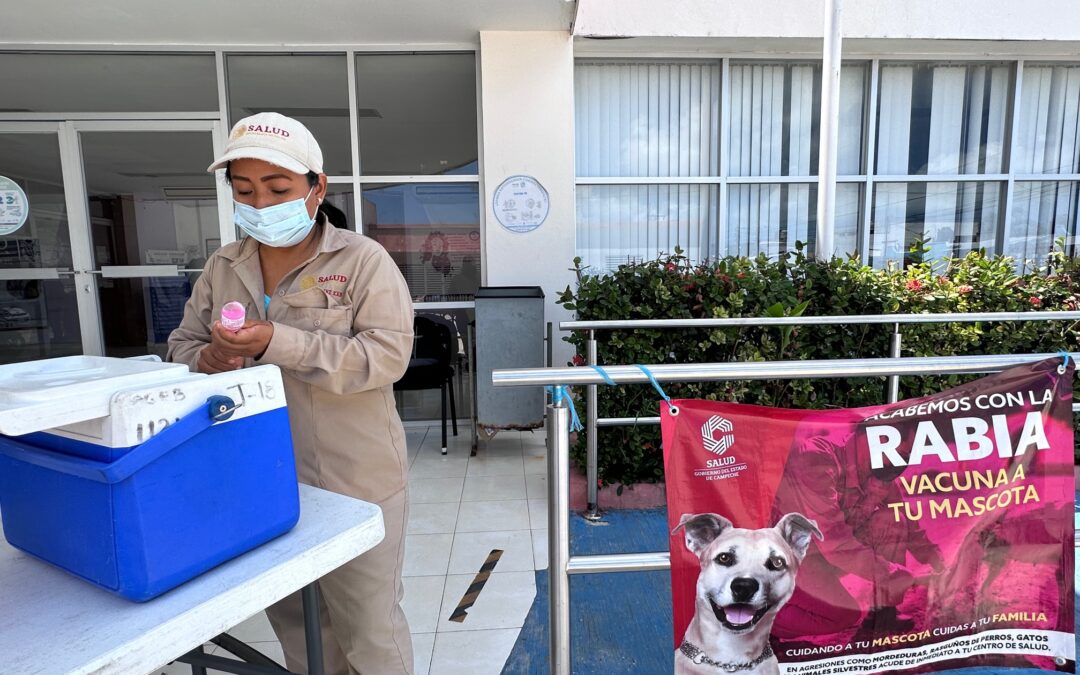 AVANZA VACUNACIÓN ANTIRRÁBICA CANINA Y FELINA EN CARMEN Y PALIZADA