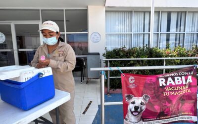 AVANZA VACUNACIÓN ANTIRRÁBICA CANINA Y FELINA EN CARMEN Y PALIZADA