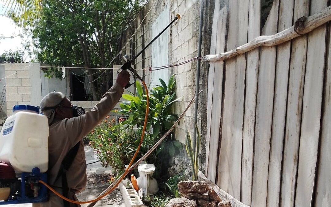 AVANZA EL COMBATE AL DENGUE Y VACUNACIÓN ANTIRRÁBICA EN TODO EL ESTADO