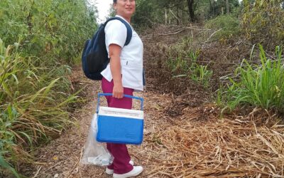 REFUERZAN APLICACIÓN DE VACUNAS DEL ESQUEMA BÁSICO EN MUNICIPIOS