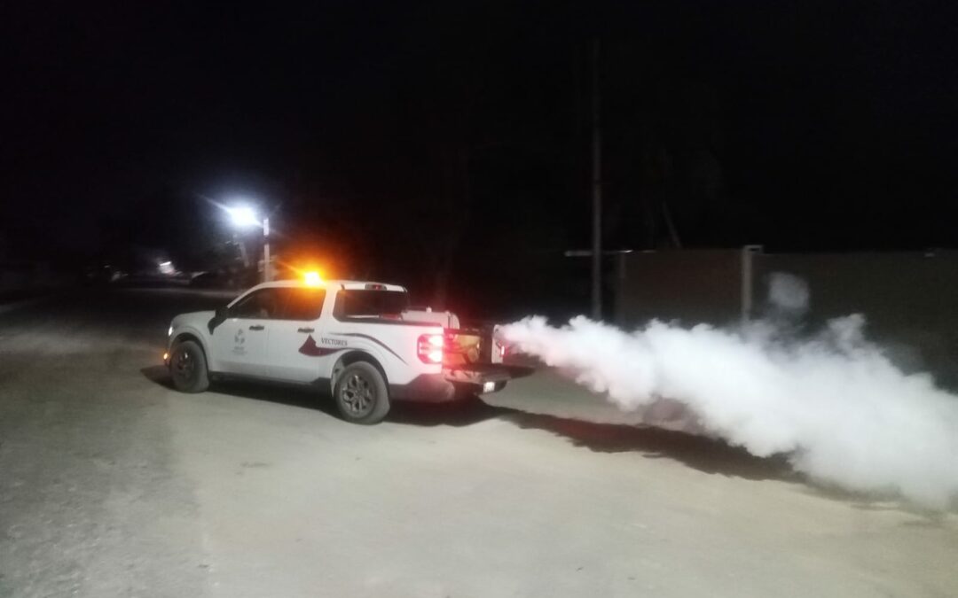 COMBATEN AL MOSCO TRANSMISOR DEL DENGUE EN CHAMPOTÓN, CARMEN Y ESCÁRCEGA