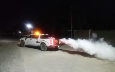 COMBATEN AL MOSCO TRANSMISOR DEL DENGUE EN CHAMPOTÓN, CARMEN Y ESCÁRCEGA