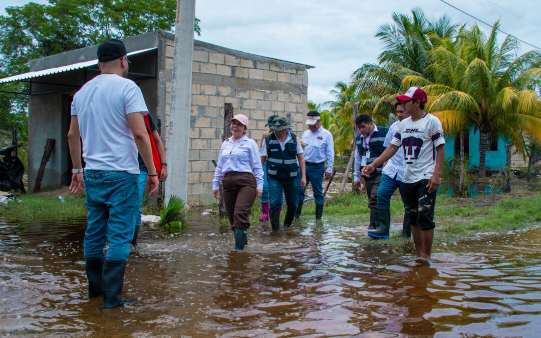 COMBATEN DENGUE EN LOCALIDADES DE CHAMPOTÓN