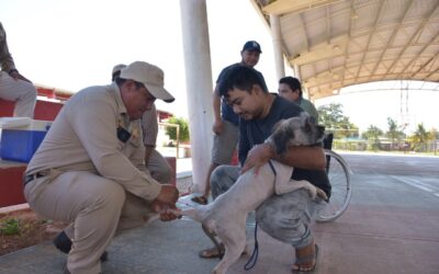 APLICADAS MÁS DE 75 MIL VACUNAS ANTIRRÁBICAS A PERROS Y GATOS EN LO QUE VA DEL AÑO