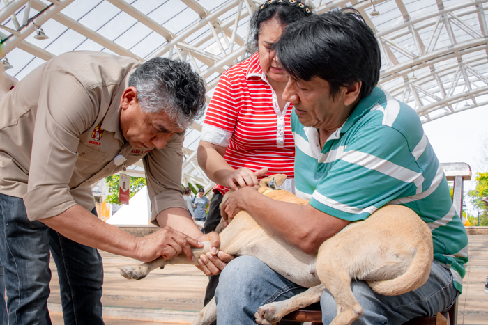 IMPULSA SALUD VACUNACIÓN ANTIRRÁBICA CANINA Y FELINA EN TODO EL ESTADO