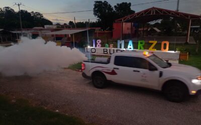 ACCIONES CONJUNTAS DE VECTORES, COMUNIDAD Y MUNICIPIO PARA COMBATIR EL DENGUE