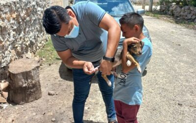 PROTEGEN A PERROS Y GATOS CONTRA LA RABIA EN TODO EL ESTADO