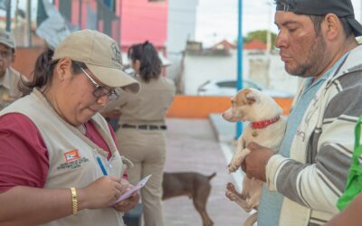 PROTEGIDOS CONTRA LA RABIA, MÁS DE CUATRO MIL PERROS Y GATOS EN CAMPECHE