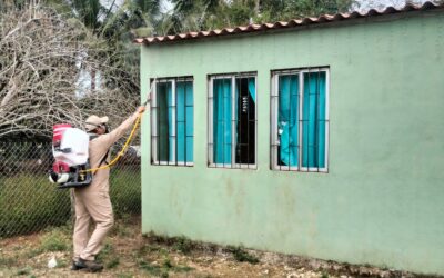 Exhorta Salud a reforzar medidas contra el dengue en temporada de lluvias.