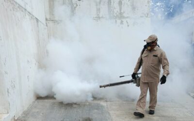 Intensifica SSA combate al dengue por temporada de lluvias
