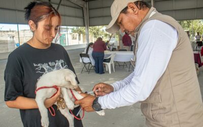 Permanente la vacunación antirrábica en todo el Estado