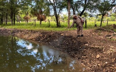 Fortalecen acciones para eliminar el paludismo en Carmen