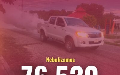 El combate al dengue es prioridad en el «»Gobierno de Todos»
