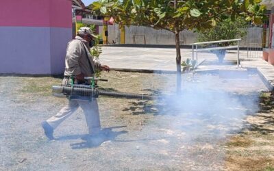 Sigue la lucha contra el Dengue.