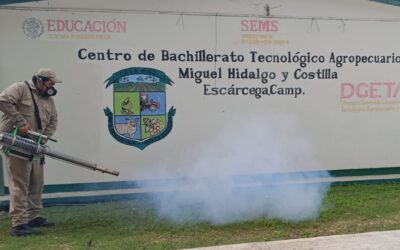 Prevención y control del dengue en Escárcega