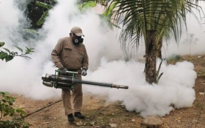 Control físico y nebulización espacial contra el mosco del dengue en todo el Estado