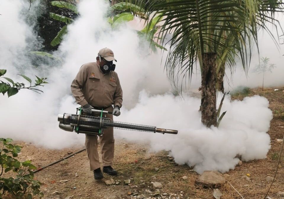 Control físico y nebulización espacial contra el mosco del dengue en todo el Estado