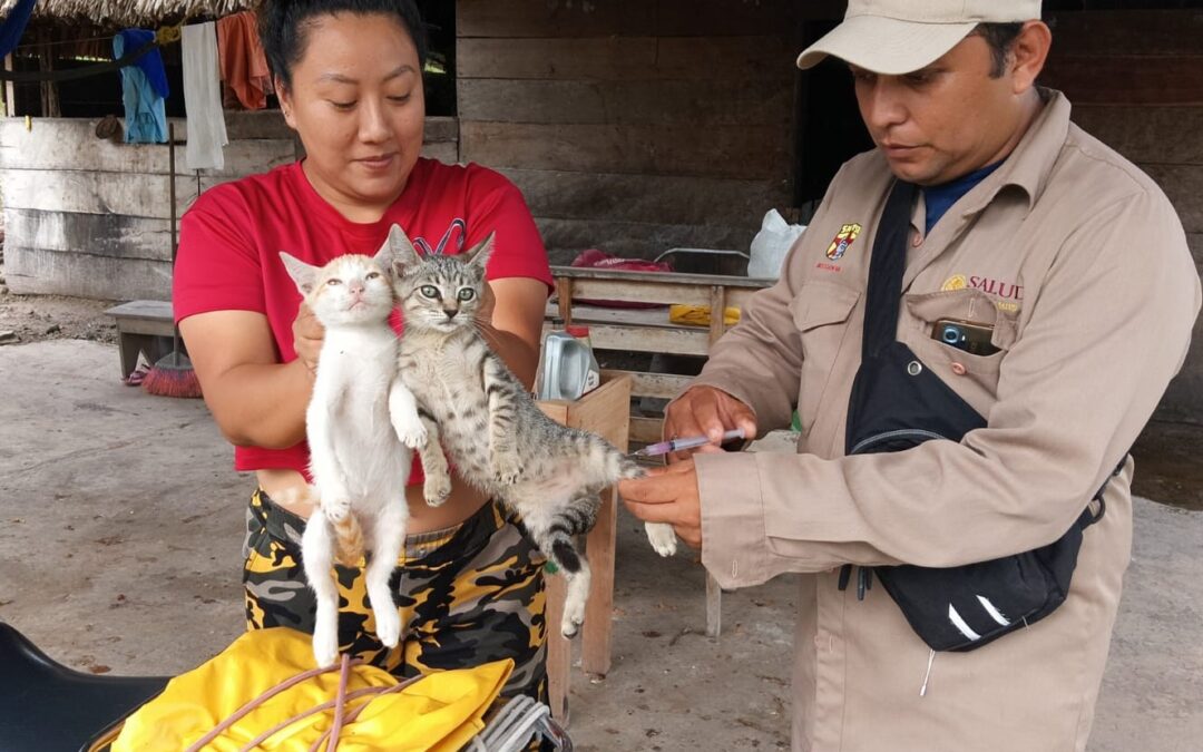 Más de 45 mil mascotas protegidas contra la rabia