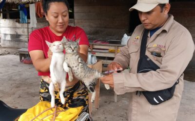 Más de 45 mil mascotas protegidas contra la rabia
