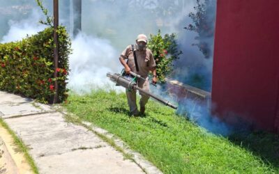 Termonebulización contra el mosco del dengue en Carmen